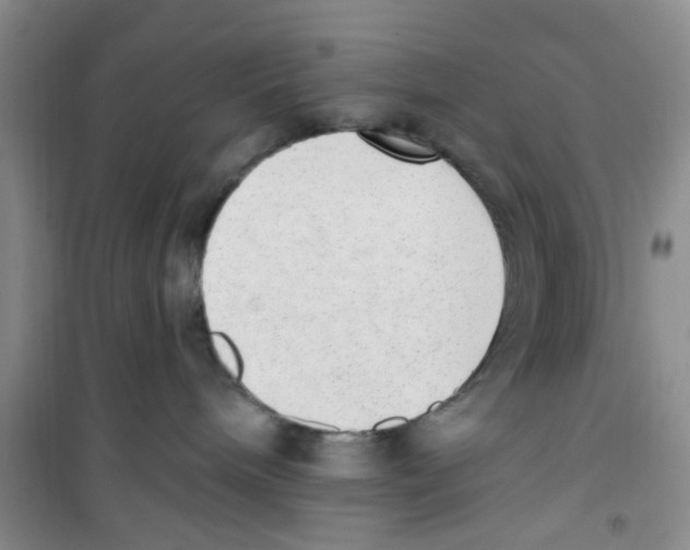 X0000100960240200807221152