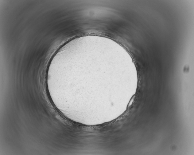 X0000100960241200807221152