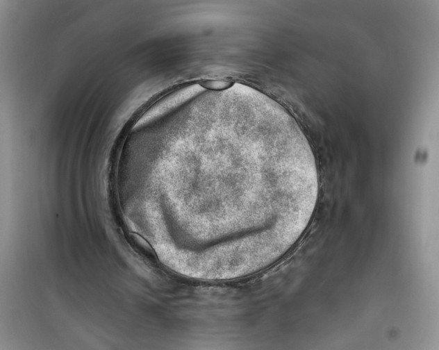 X0000100960242200807221152