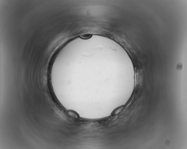 X0000100960243200807221152