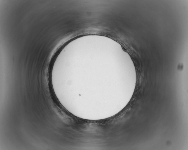 X0000100960244200807221152