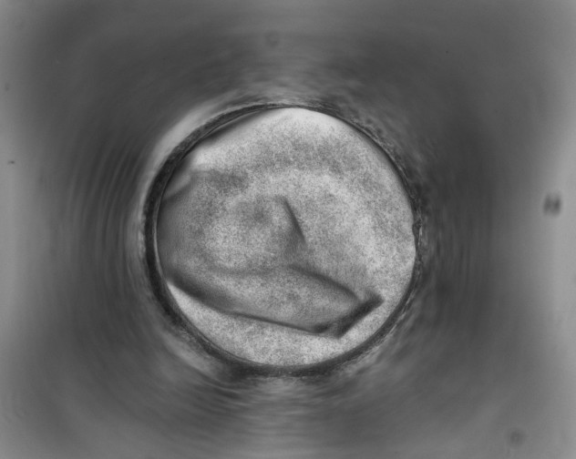 X0000100960246200807221152