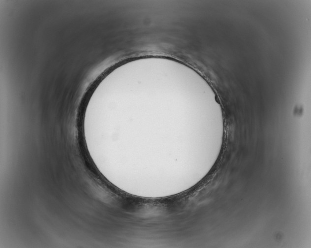 X0000100960248200807221152