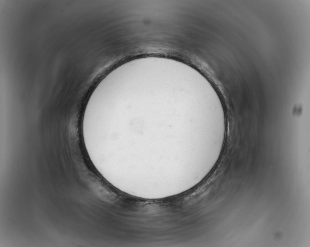 X0000100960249200807221152