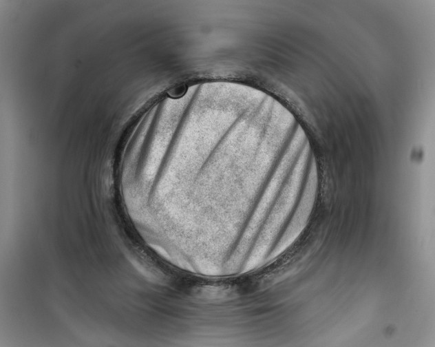 X0000100960251200807221152