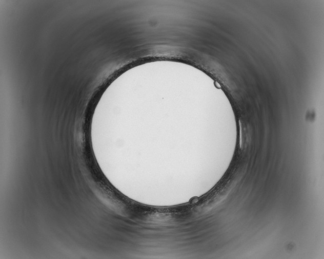 X0000100960252200807221152