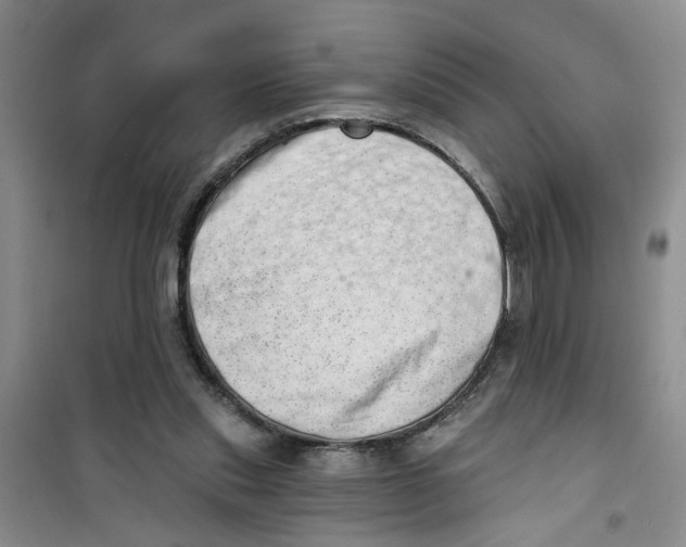 X0000100960253200807221152