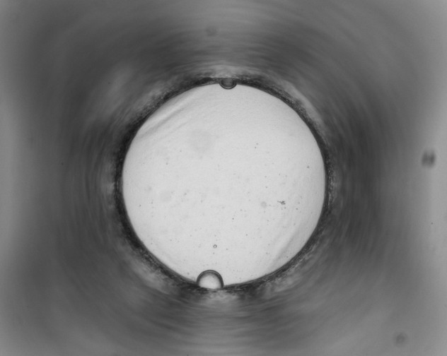 X0000100960257200807221152