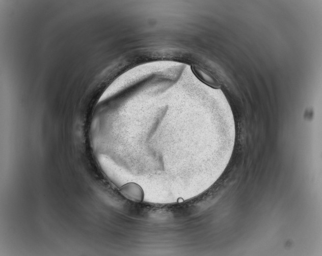 X0000100960258200807221152