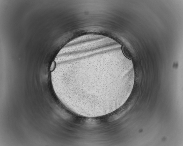 X0000100960261200807221152