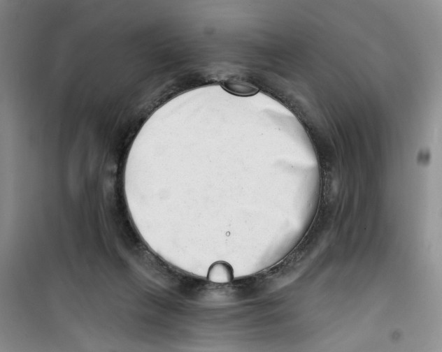 X0000100960263200807221152