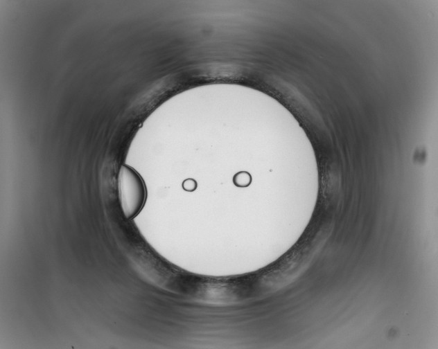 X0000100960264200807221152