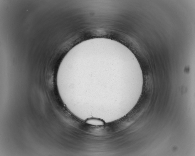 X0000100960267200807221152