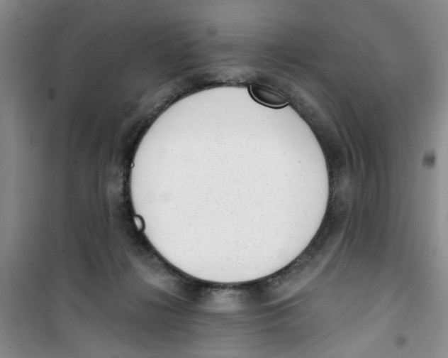 X0000100960268200807221152