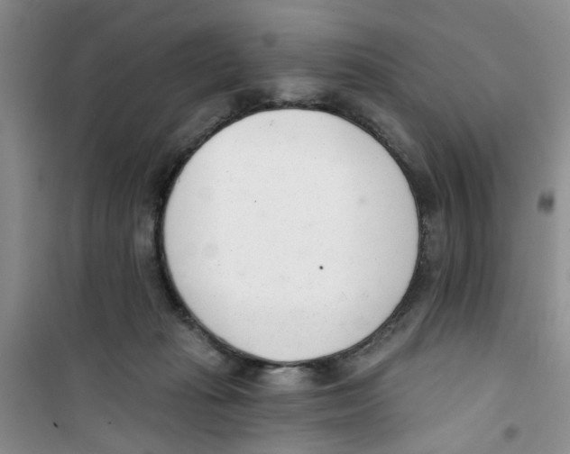 X0000100960269200807221152