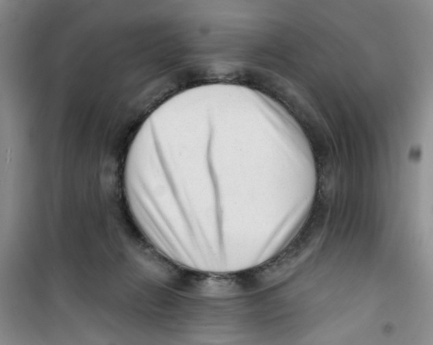 X0000100960270200807221152