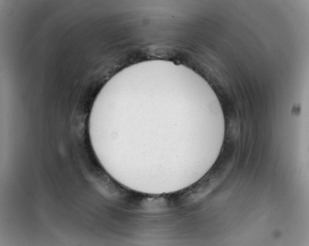 X0000100960271200807221152