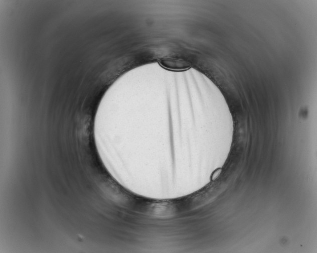 X0000100960275200807221152