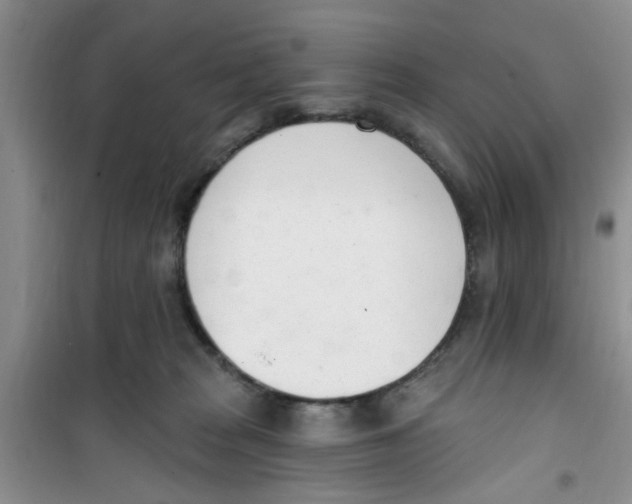 X0000100960277200807221152