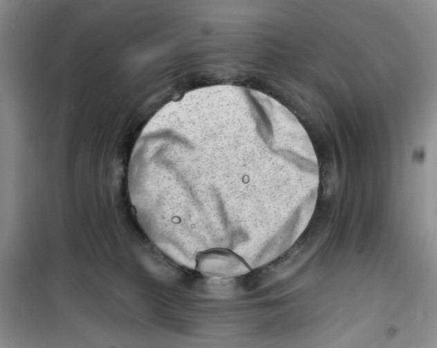 X0000100960279200807221152