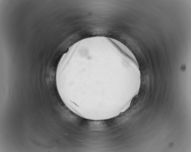 X0000100960281200807221152