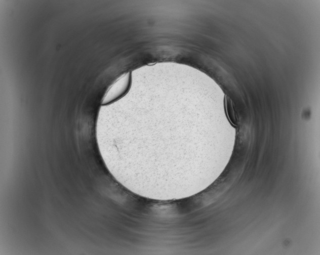 X0000100960283200807221152