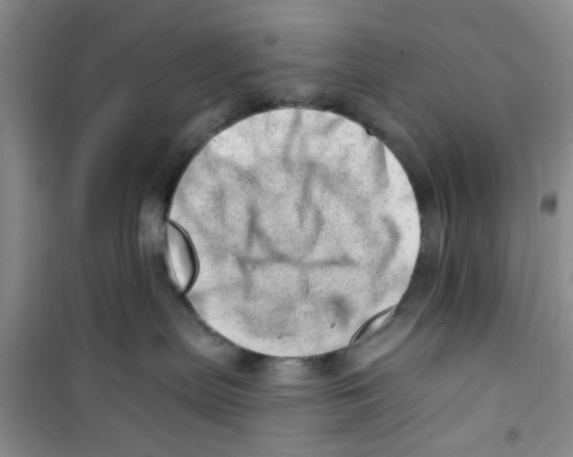 X0000100960287200807221152