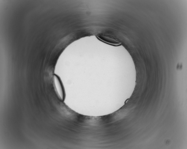 X0000100960288200807221152