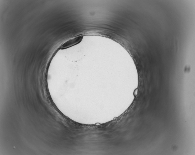 X0000100960289200807221152