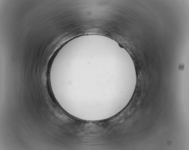 X0000100960290200807221152