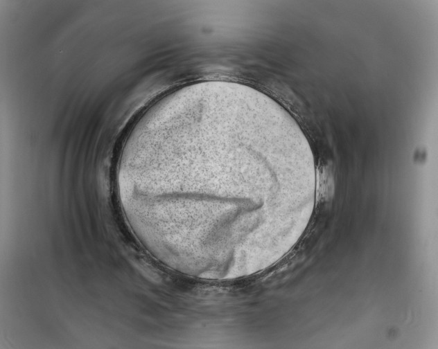 X0000100960291200807221152