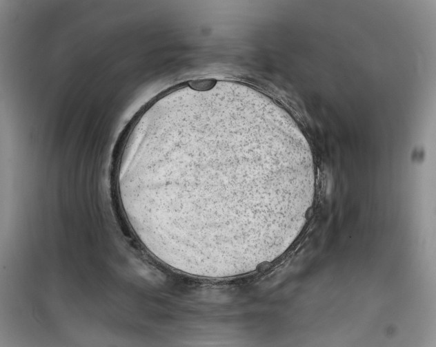 X0000100960292200807221151