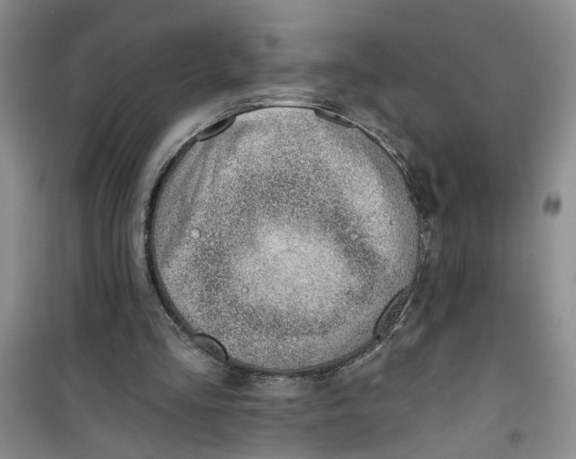 X0000100960293200807221151