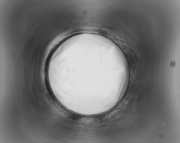 X0000100960294200807221151