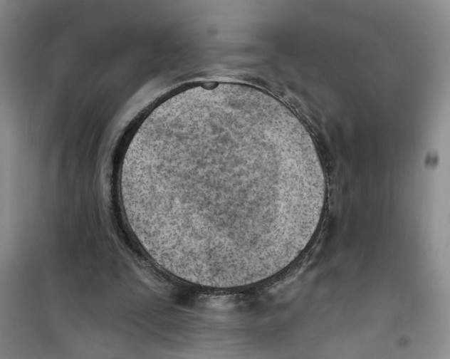 X0000100960295200807221151