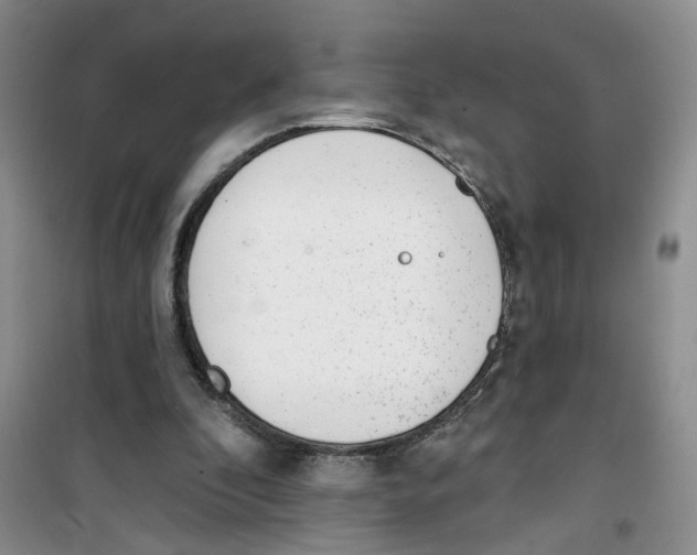 X0000100960296200807221151