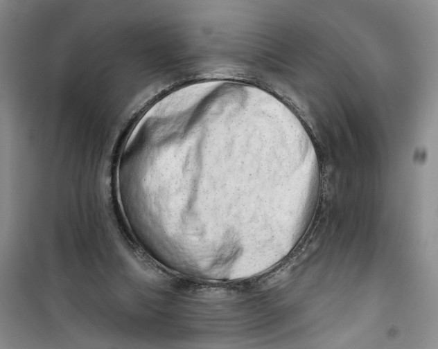 X0000100960298200807221151