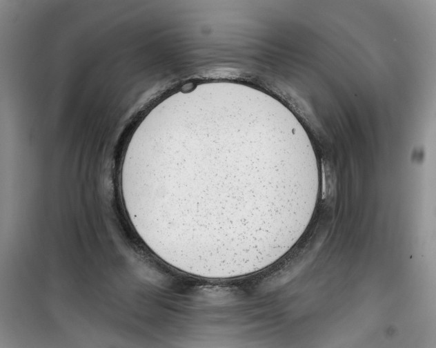 X0000100960300200807221151