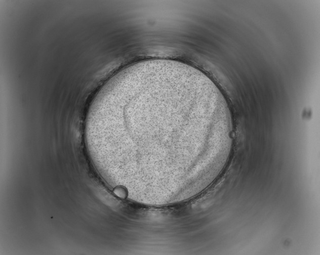 X0000100960305200807221151