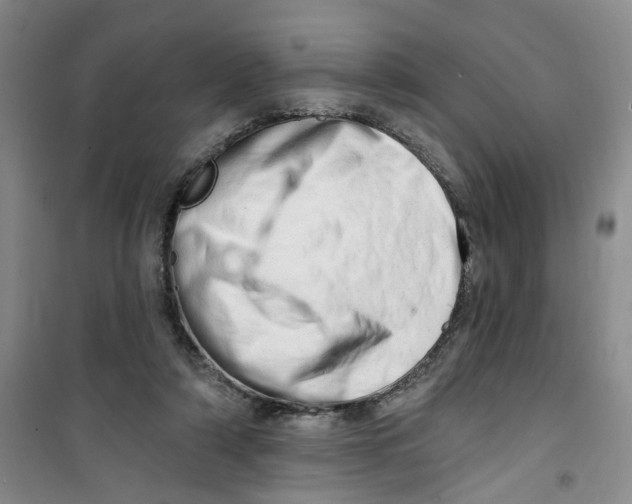 X0000100960306200807221151