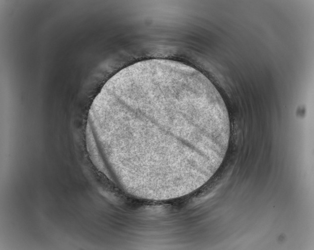 X0000100960307200807221151