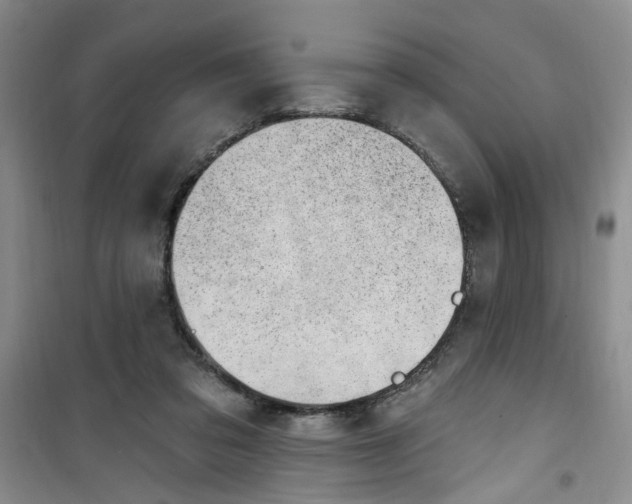 X0000100960309200807221151