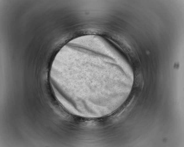 X0000100960310200807221151