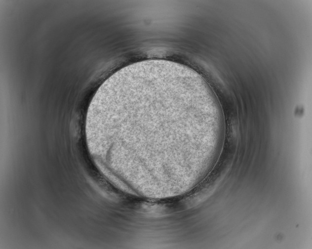 X0000100960311200807221151