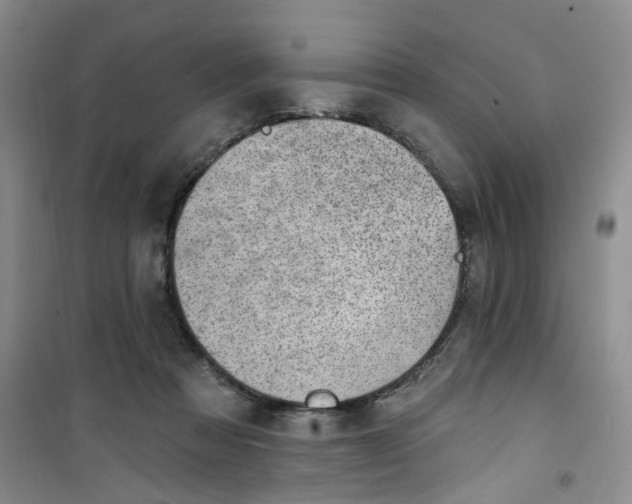 X0000100960313200807221151