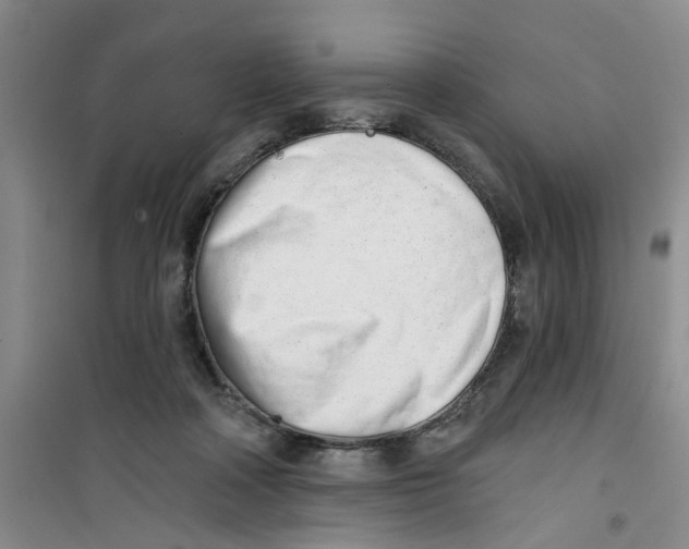 X0000100960314200807221151