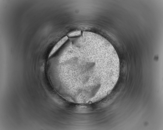 X0000100960315200807221151