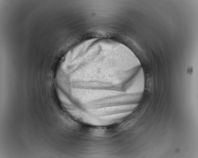 X0000100960318200807221151