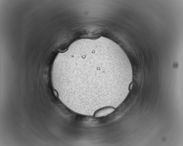 X0000100960319200807221151