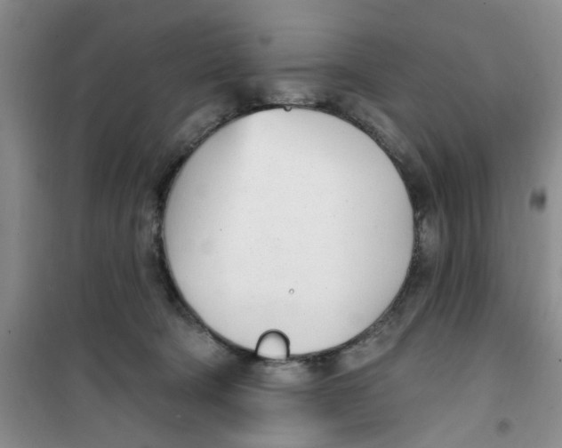 X0000100960322200807221151